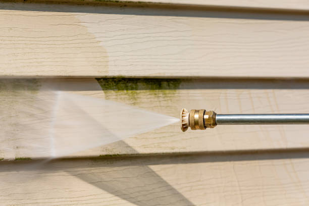 Best Roof Pressure Washing  in St Clairsville, OH